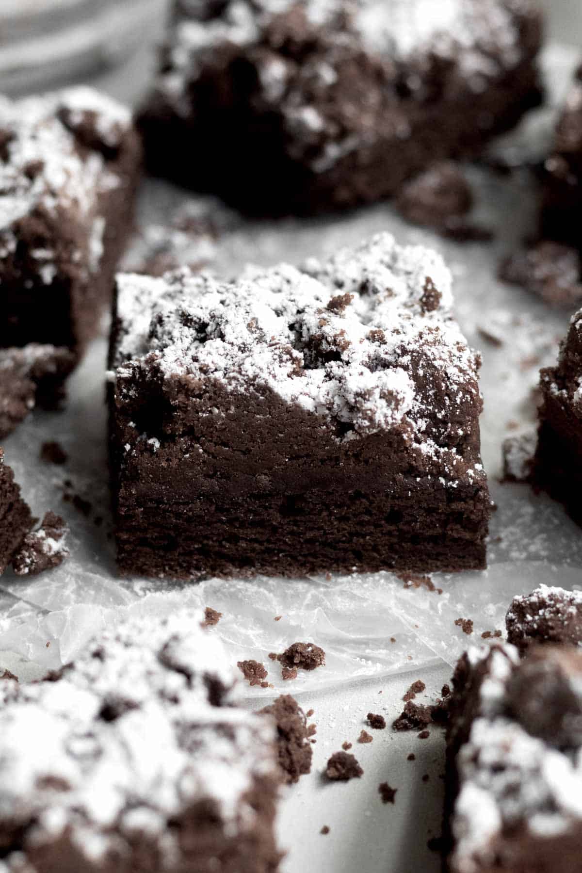 Gluten free Chocolate Crumb Cakes with confectioners’ sugar.