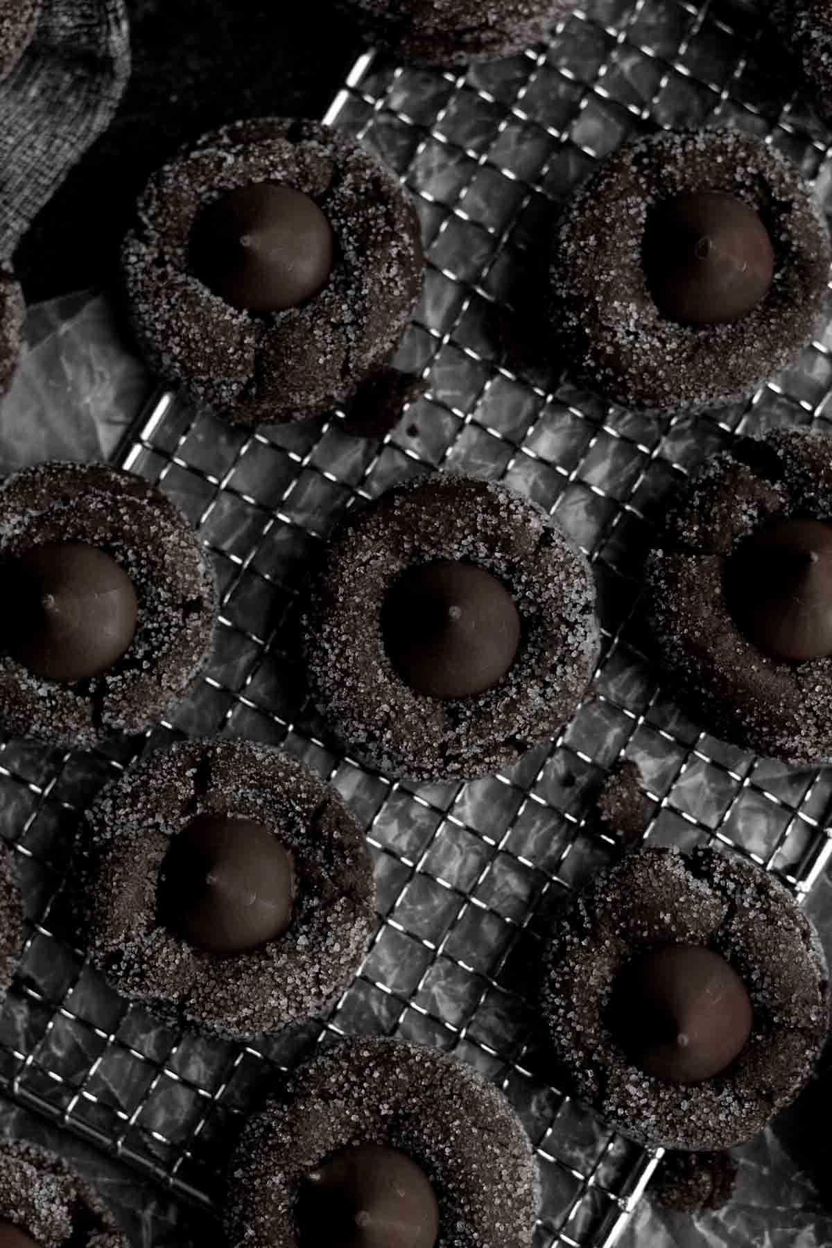 Seven Chocolate Blossom Cookies sit sexily with crystalized sugar.